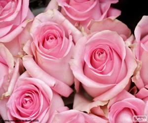 Puzzle Ροζ τριαντάφυλλα